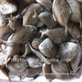 IQF whole round frozen black pomfret